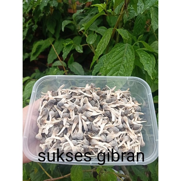 Empot ayam  putih utuh asli 1 kg