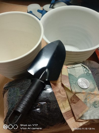 Pot Bunga Gantung Mawar