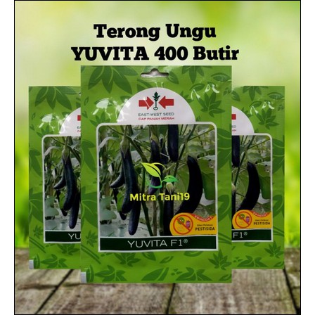 BENIH BIBIT TERONG UNGU YUVITA SP 400 BUTIR CAP PANAH MERAH