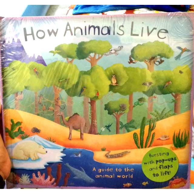 How Animals Live book