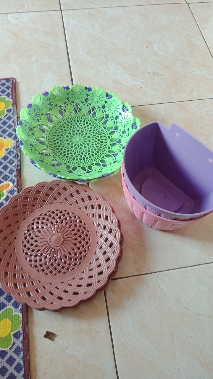 Tempat Buah Besar Fuji Star