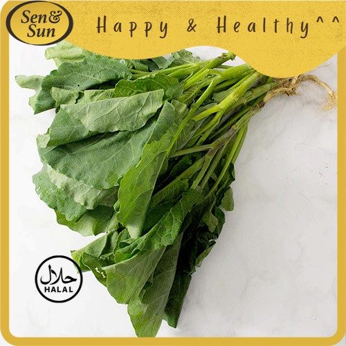 

Sen&Sun Kailan Hydroponic 250 gr