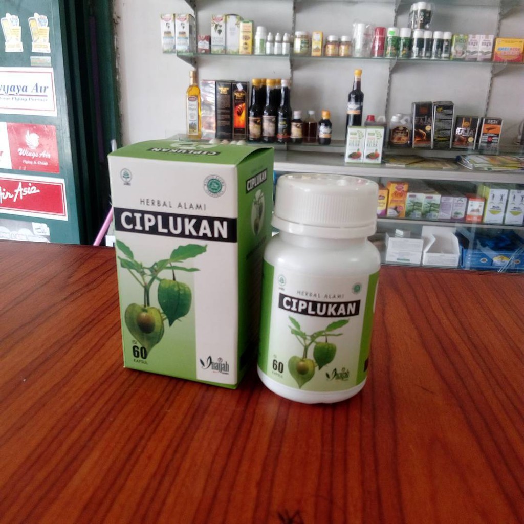

Kapsul Daun Ciplukan Ceplukan Physalis Obat Paru Diabetes Hipertensi