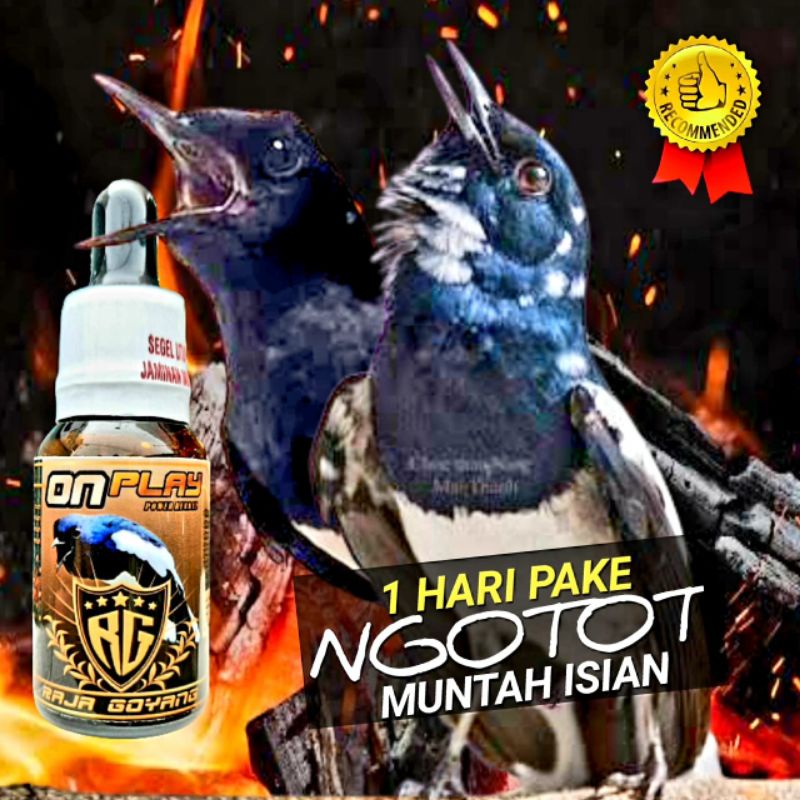 RG ON PLAY raja goyang kacer ngotot muntah isian onplay