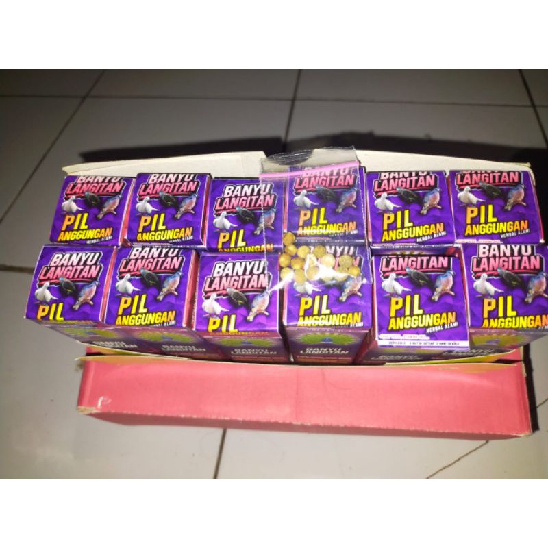 pil perkutut banyu langitan anggungan 1 dus isi 12pcs