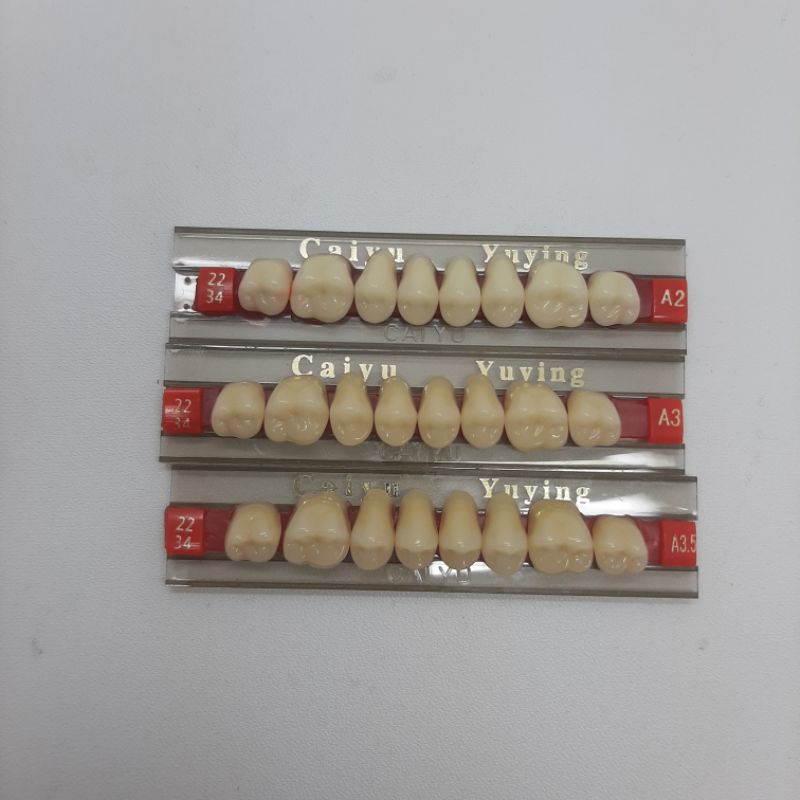 gigi palsu geraham (posterior ) bahan acrylic