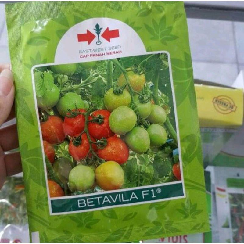 Benih TOMAT BETAVILA F1