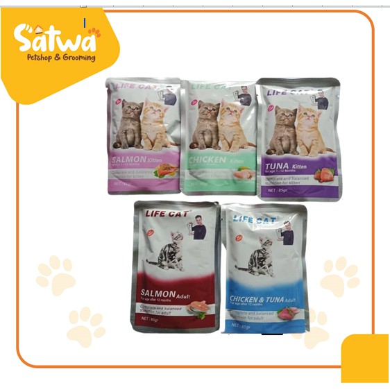 lifecat pouch adult kitten 80gr semua varian