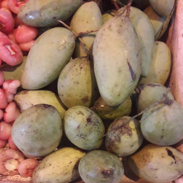 

Mangga Muda Rujak Fresh (1kg 30.000)