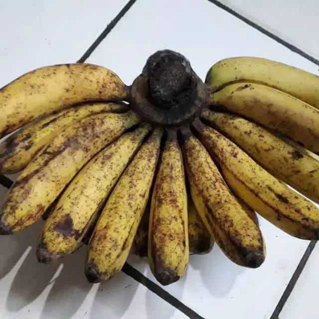 

Pisang barangan super