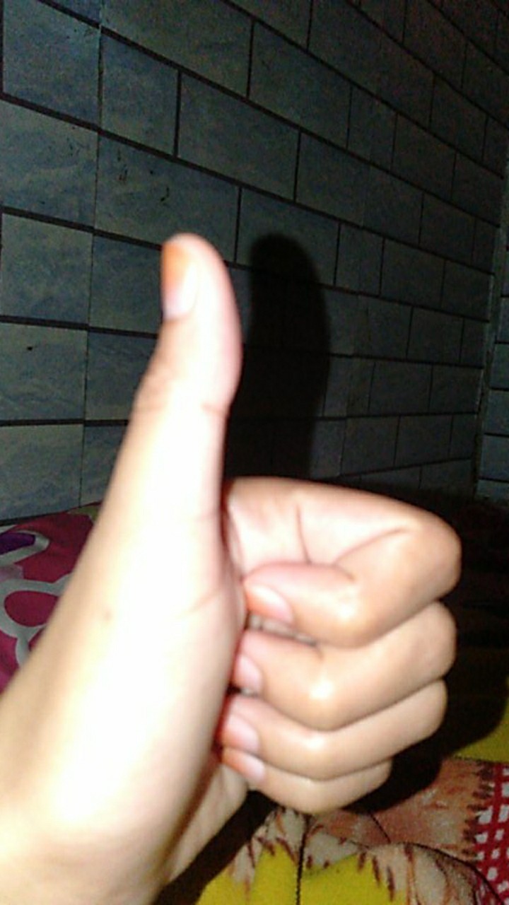 Bread N Saver Warna Warni Indonesia / Malaysia (1 Pcs) Kotak Roti / Kue Tupwr