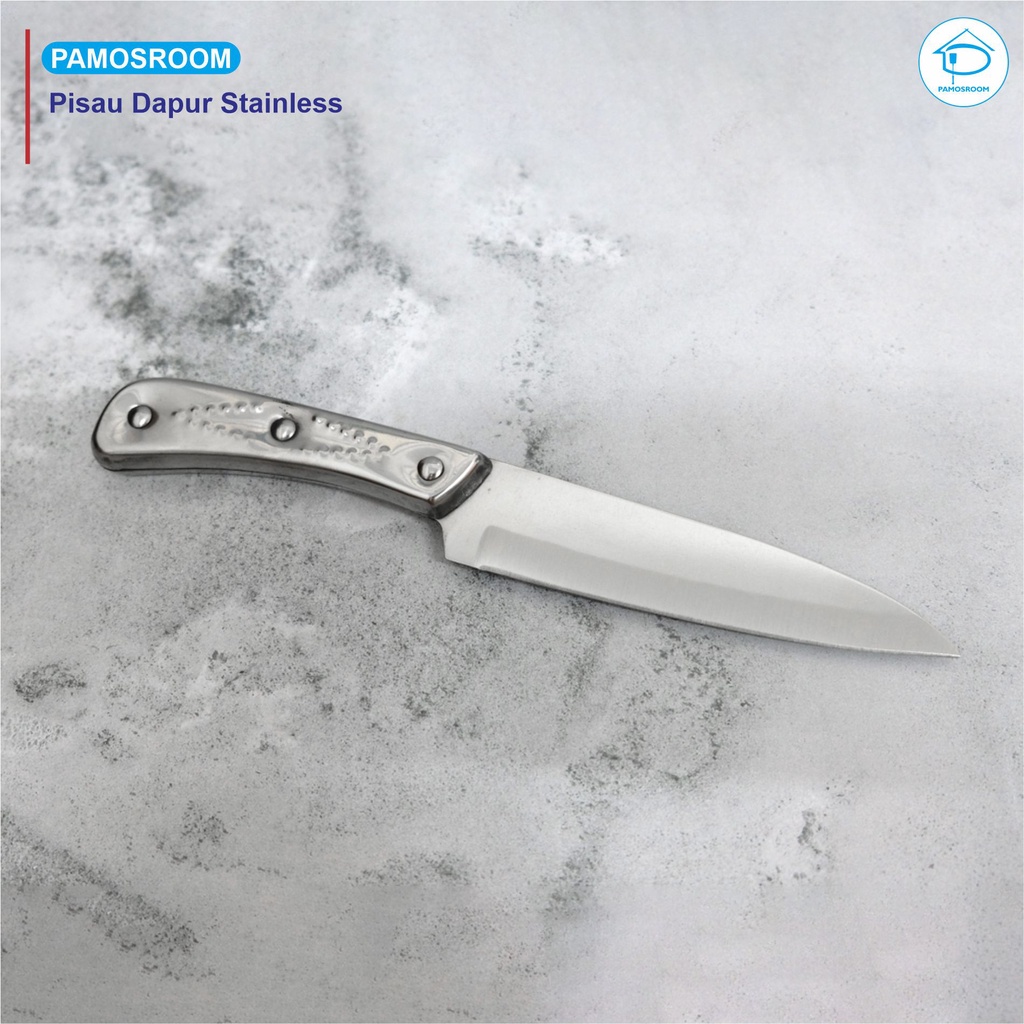 Pisau Dapur Pisau Buah Stainless Steel Pisau Daging Stainless Panjang 21cm