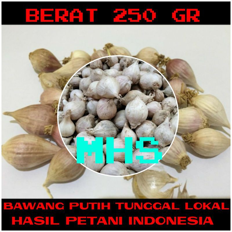 

Bawang Putih Tunggal Bawang Lanang Lokal 250GR
