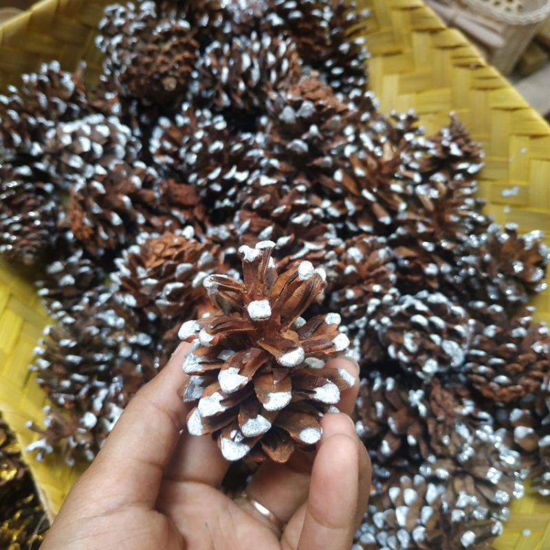 BUNGA PINUS NATAL PUTIH GLITTER SILVER / BIJI CEMARA/ BUNGA CEMARA/ bunga pinus jogja hiasan hampers