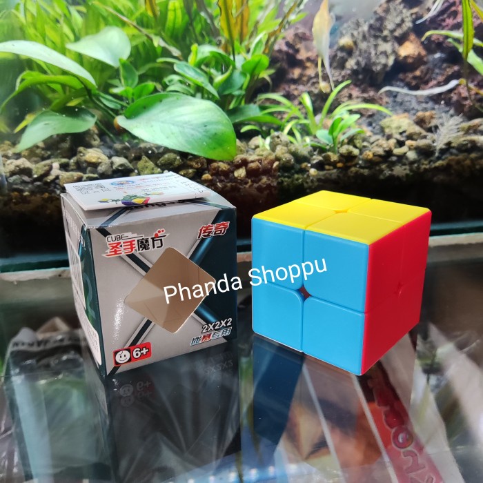 Rubik 2x2 Stickerless Shengshou Sengso