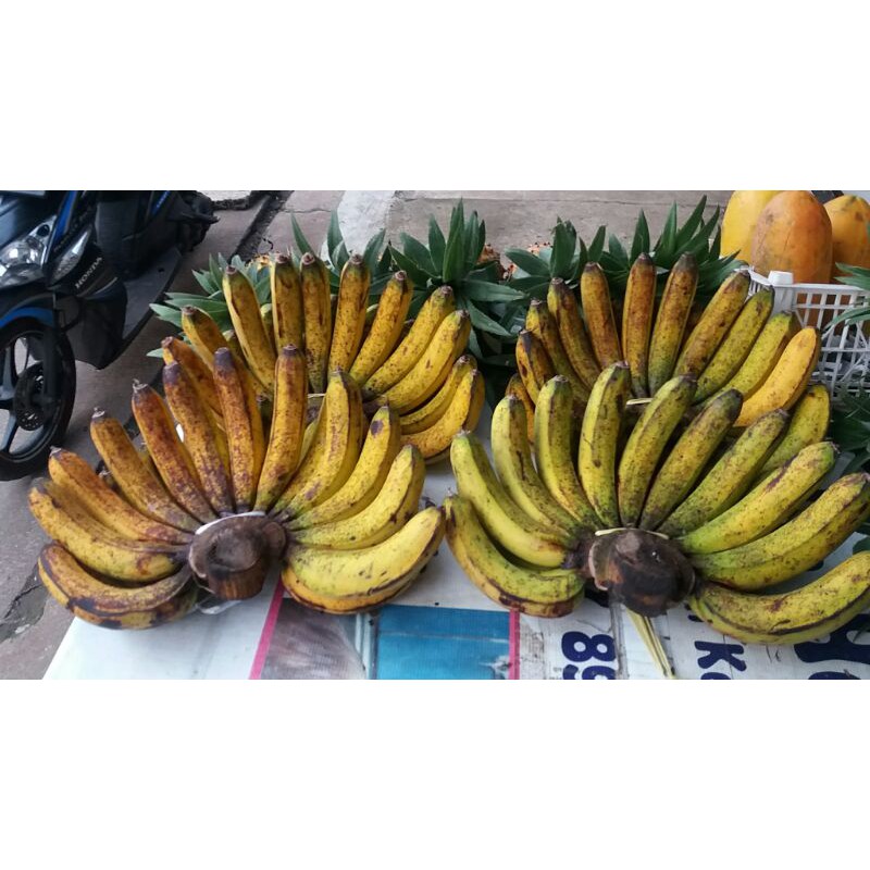 

Barangan Medan MasIwan