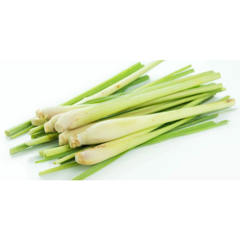 

500gr Serai bumbu fresh