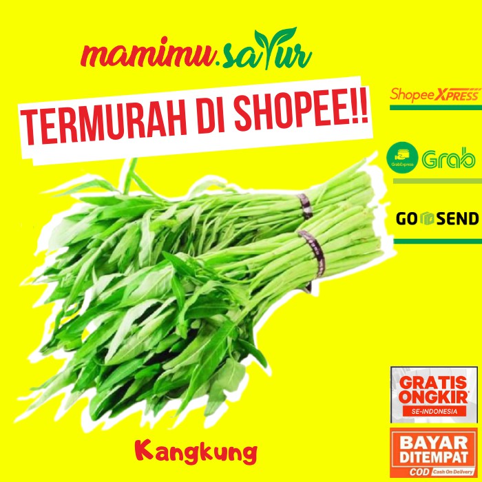 

PROMO TERMURAH !!! SAYUR KANGKUNG SE IKAT 1 IKAT SAYUR SAYURAN SEGAR PASAR MURAH ONLINE JAKARTA