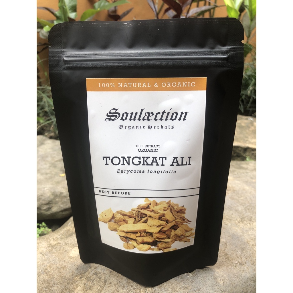 TONGKAT ALI Organik Bubuk Ekstrak / Organic Tongkat Ali Powder Extract