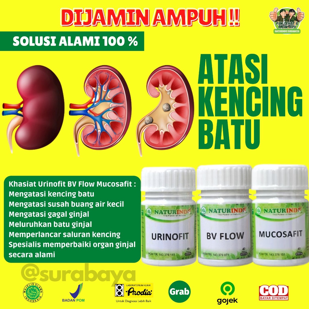 Obat Herbal Sulit Kencing Sakit Prostat Infeksi Saluran Kencing Anyang Anyangen Atasi Batu Ginjal Saluran Kemih Obat Kencing Batu kencing sakit Obat Gagal Ginjal Bocor Bengak Kencing Berbuih Berbusa Batu Spesialis Ginjal URINOFIT NATURINDO SURABAYA-ATASI KENCING BATU