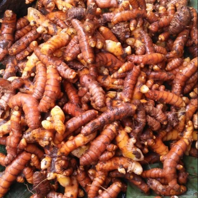 

Kunyit segar/kunyit fresh/kunyit sayur 250 gram