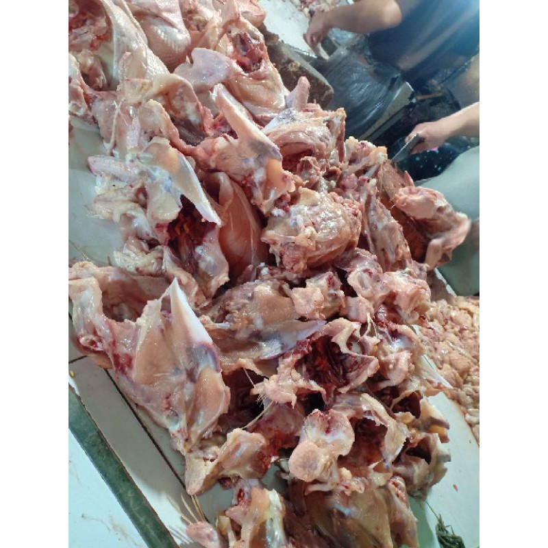 

GRONGKONGAN AYAM SEGAR PER KG