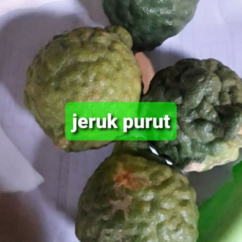 

jeruk purut/1,biji