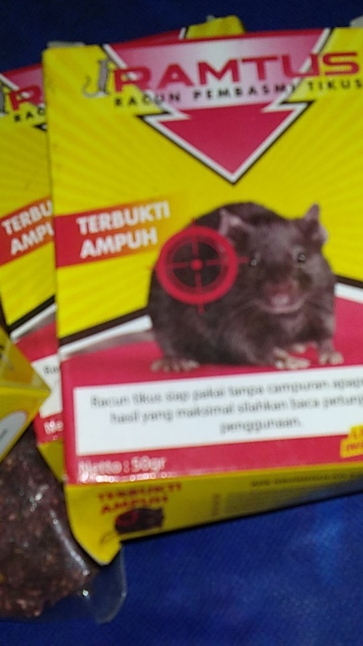 Racun Tikus Ramtus Asli Alami Mati Kering Tidak Bau Pembasmi Pengusir Tikus Super Paling Ampuh 6 Pak