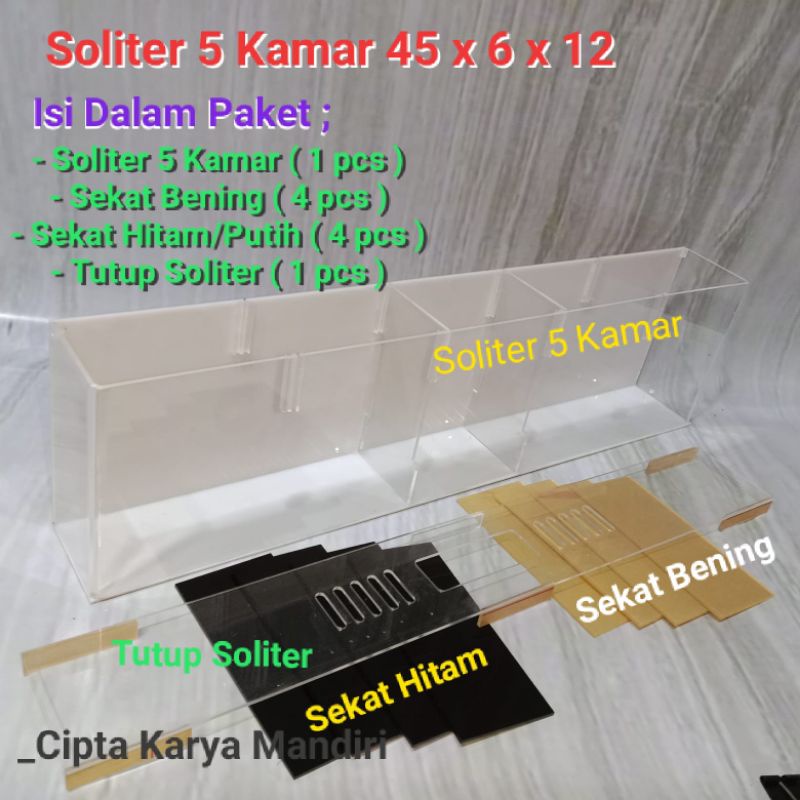 Soliter Akrilik 45 x 6 x 12 ( 5 Kamar ) Soliter Cupang Akuarium Akrilik Soliter Background Putih