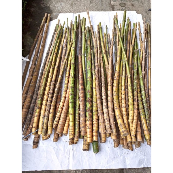 GAGANG JORAN BAMBU CENDANI