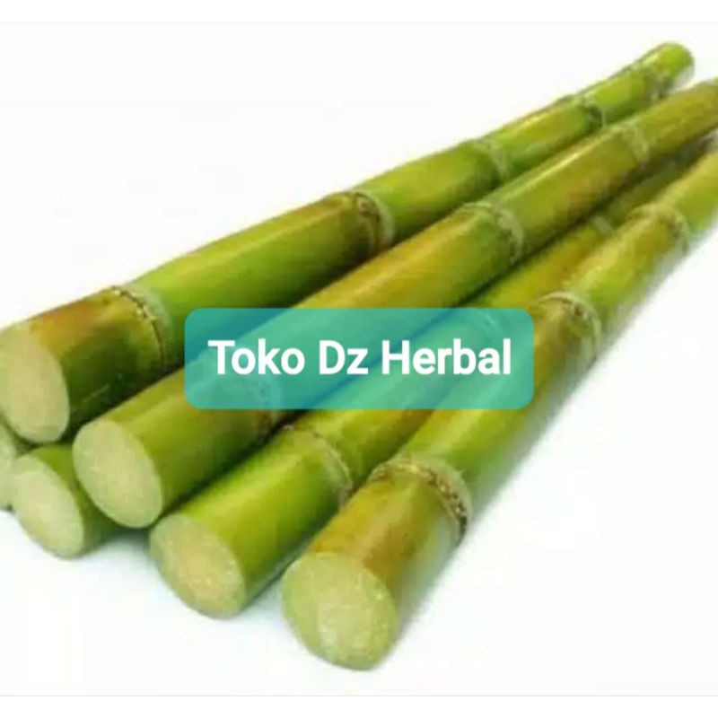 

Jual batang tebu hijau segar 1 kg-az