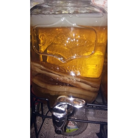 

Teh Kombucha 1liter