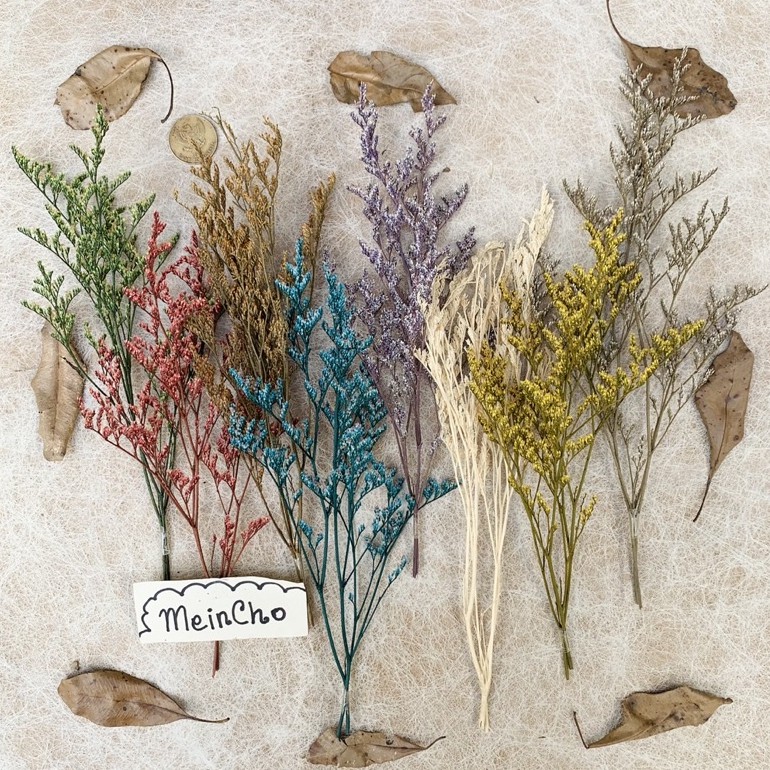 Dried Flower Caspea Bunga Kering  Caspea Preserved Rustic