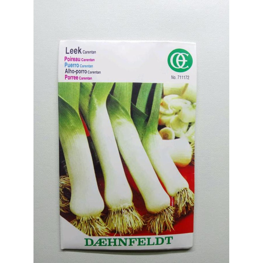 Benih / Bibit Daun Bawang / Bawang Prei Ohlsens Enke