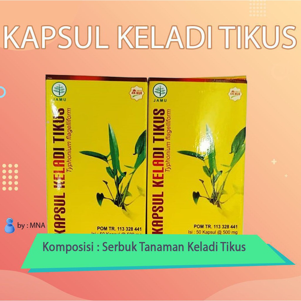 Obat Herbal Nyeri Haid Keladi Tikus Griya An-nur Isi 50 Kapsul