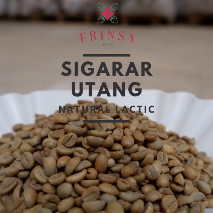 

vf2011vf Greenbean Frinsa Sigarar Utang Natural Lactic Crop'20 Ds20X11