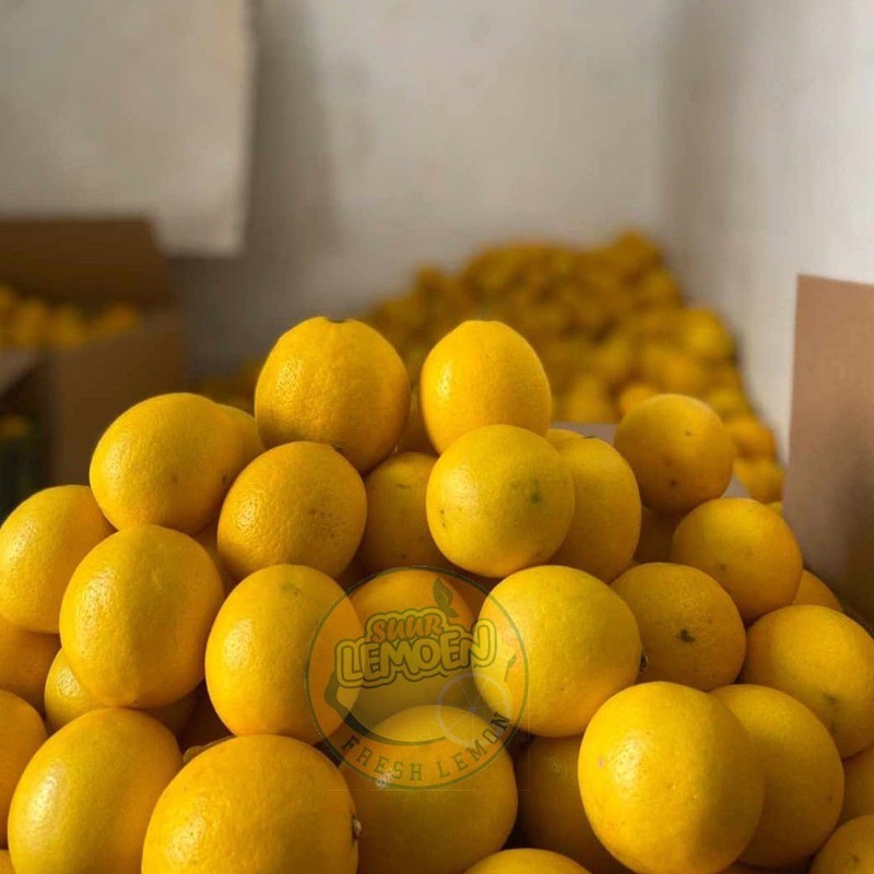 Jeruk Lemon California 500 gr 1/2 KG by Suur Lemoen ID