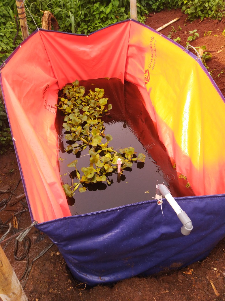 Kolam Terpal Ikan 2x1x1 Ketebalan Type A12