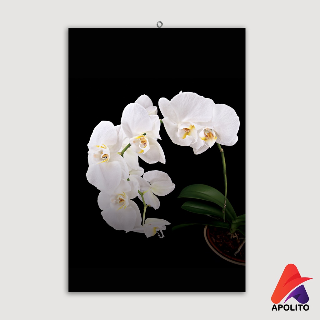 HIASAN DINDING BUNGA ANGGREK (20X30 CM) WALL DECOR PAJANGAN DINDING POSTER KAYU RUANGAN