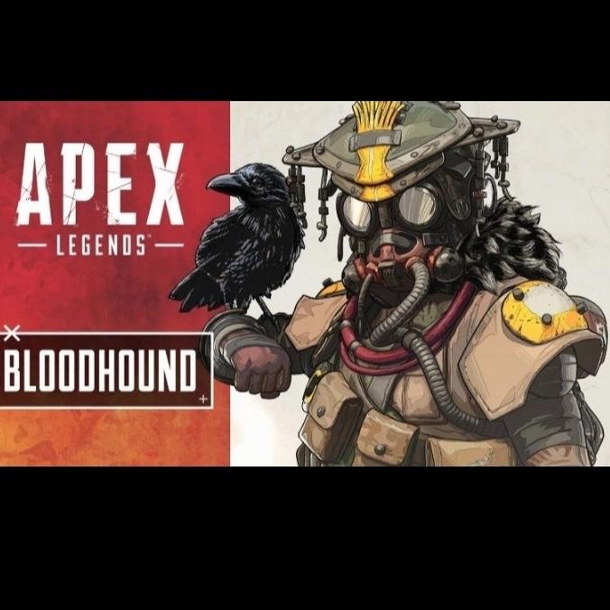 Bloodhound Apex legend Helm Cosplay