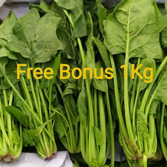 

Horenso/ Bayam Jepang/ Poling 1 kg + Gratis Bonus
