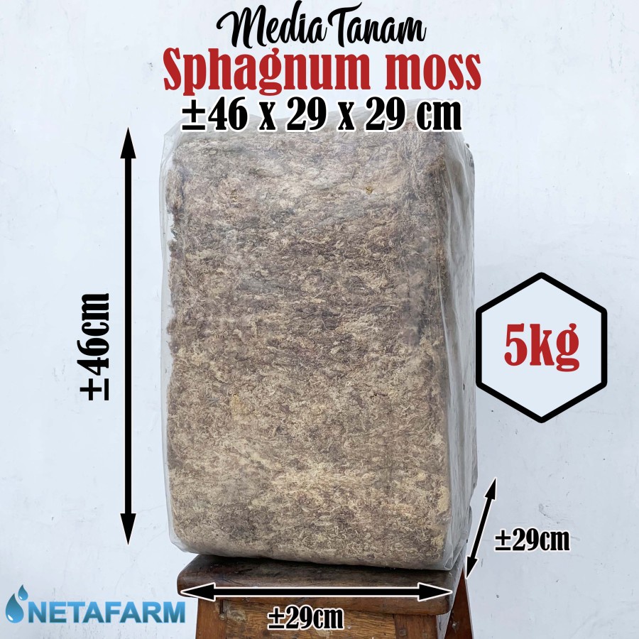 Media Tanam - SPHAGNUM MOSS 5 KG