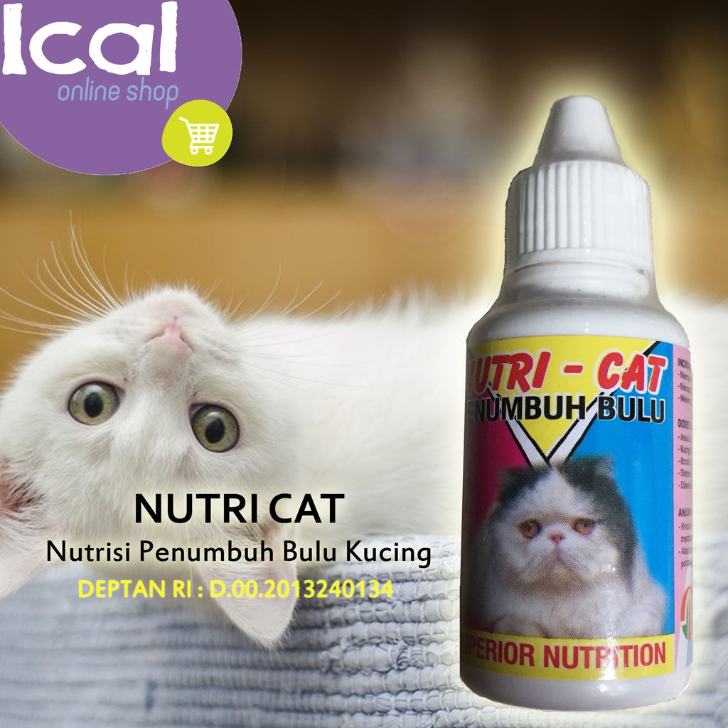 Penumbuh Bulu Kucing Nutricat Aman Buat Kitten Shopee Indonesia