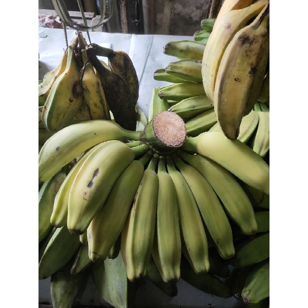 Pisang Kepok Persisir/Perbuah Murah 1 SISIR LEBIH DARI 15 BUAH