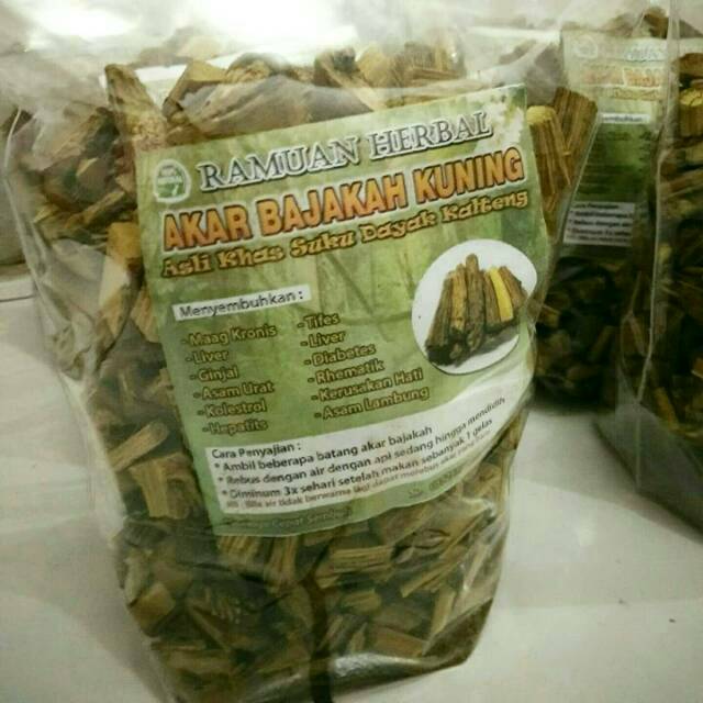 

AKAR BAJAKAH KUNING ASLI KALIMANTAN