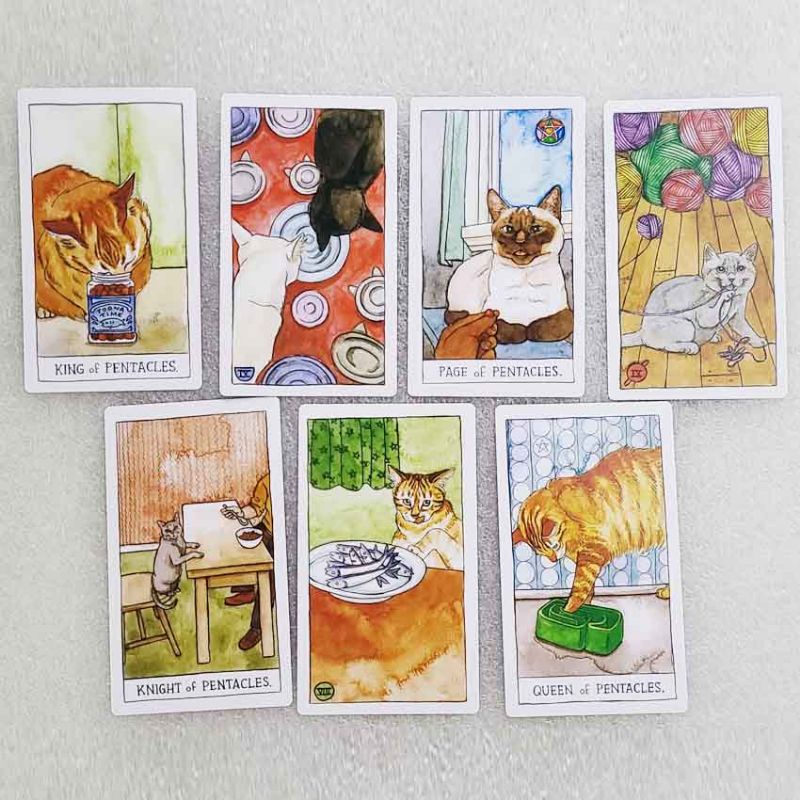 Cat Tarot 12x7cm include guide paper