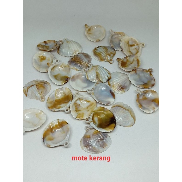 mote kerang ( 20gram )