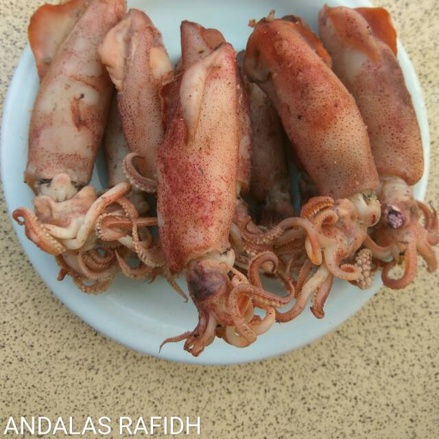 

Cumi Asin (Basah) 250 gram