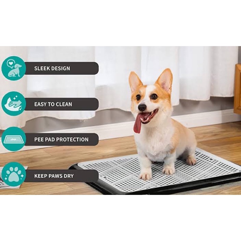 Toilet training tray - anjing kucing dog pipis pup pee alas kandang puppy cat pet