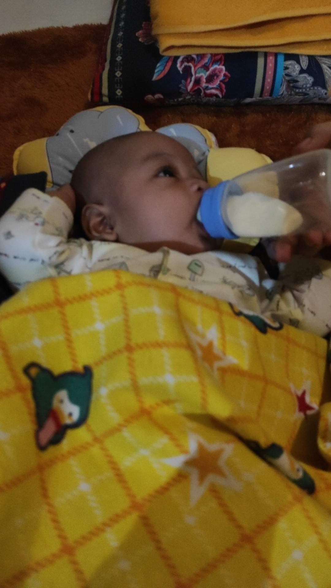 Selang Gas Biru High Pressure Thermoplastic 17.5mm Propeller Sni Harga Per Meter